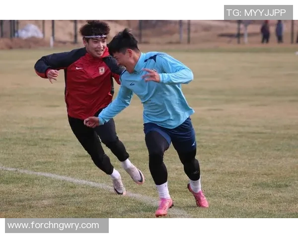 2016年中国足协杯回顾与分析揭示赛事背后的精彩故事与球队表现