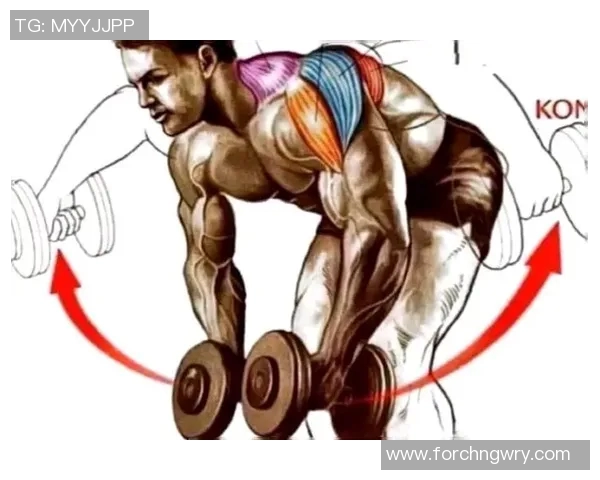 俯身哑铃飞鸟动作解析与注意事项全面教学指南